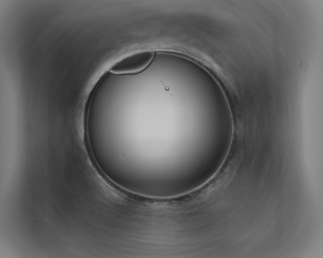 X0000112001512200908101312