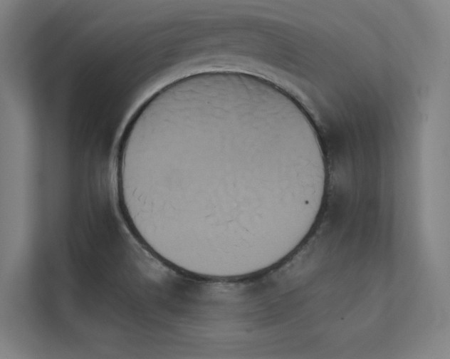 X0000112001514200908101312