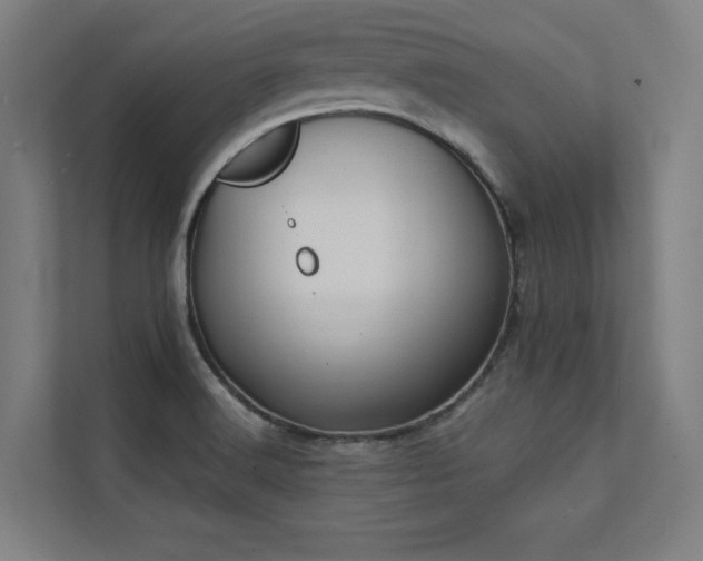 X0000112001516200908101312