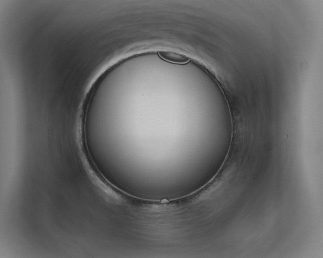 X0000112001518200908101312