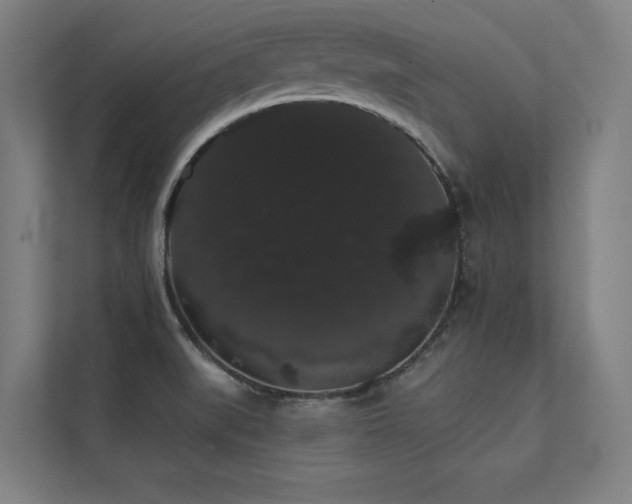 X0000112001519200908101312