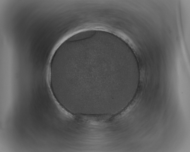 X0000112001520200908101312