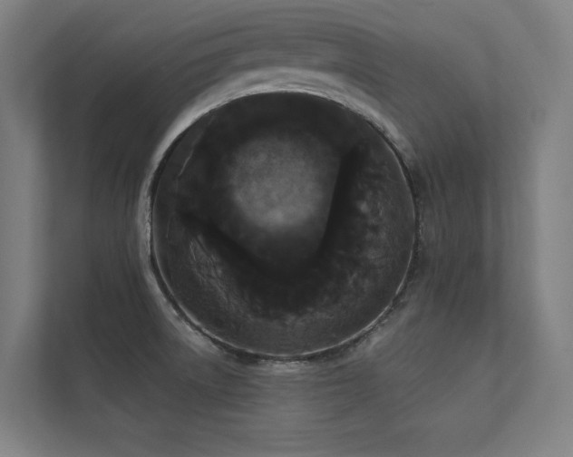 X0000112001522200908101312