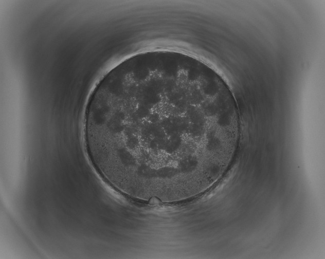 X0000112001525200908101312