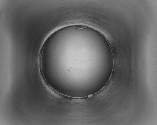 X0000112001526200908101312