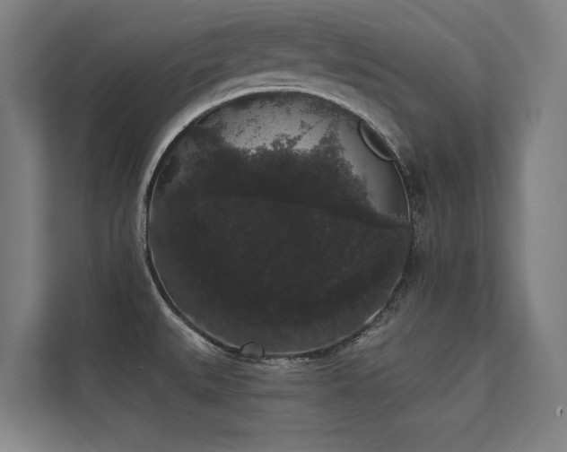 X0000112001527200908101312