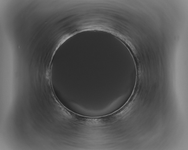 X0000112001529200908101312