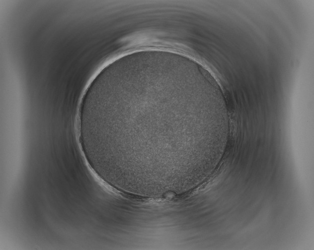 X0000112001531200908101312