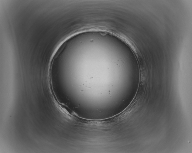 X0000112001532200908101312