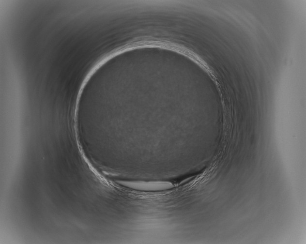 X0000112001536200908101312