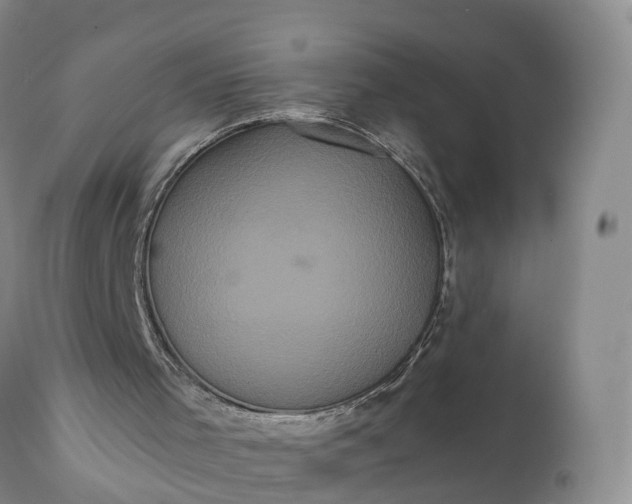 X0000112000001200908171430