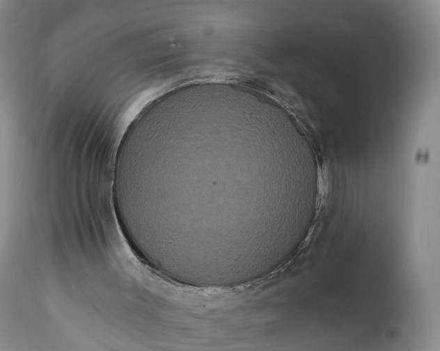 X0000112000003200908171430