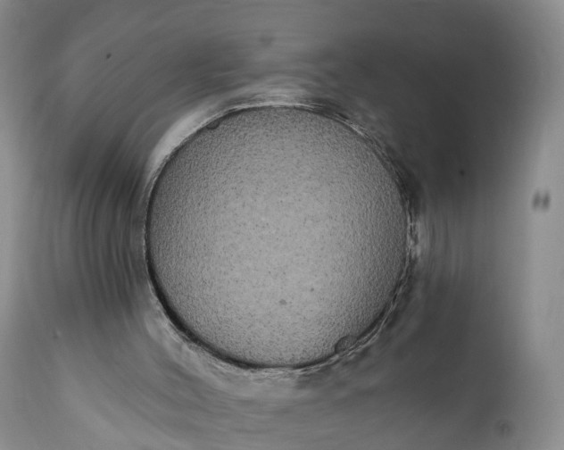 X0000112000004200908171430