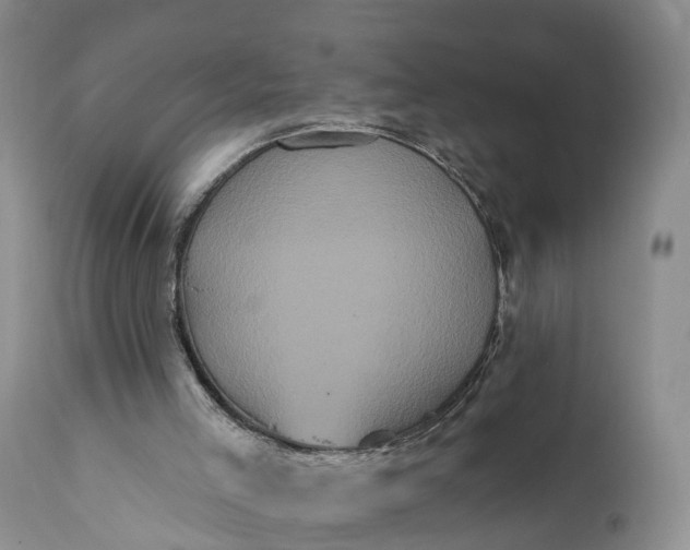 X0000112000005200908171430