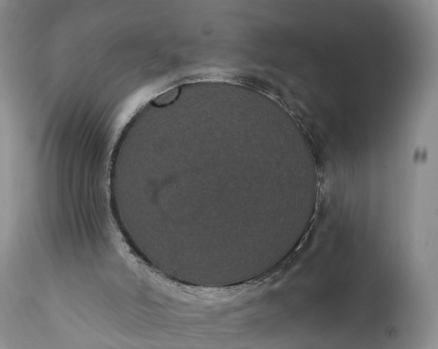 X0000112000006200908171430