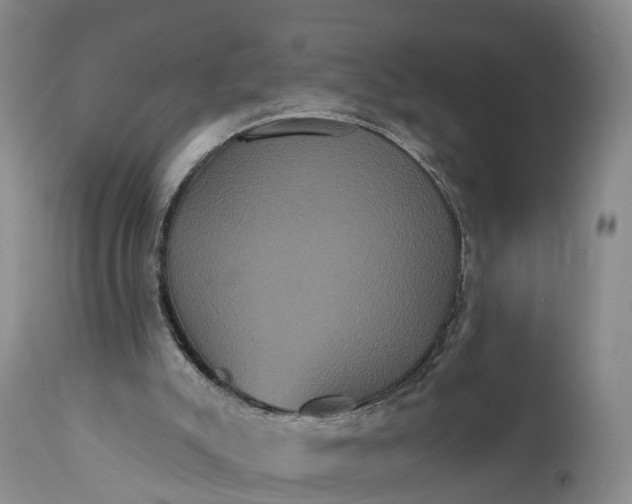 X0000112000007200908171430