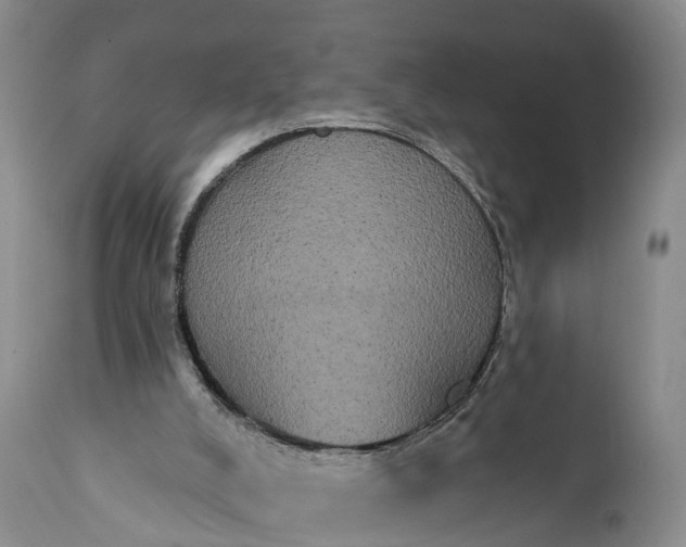 X0000112000008200908171430