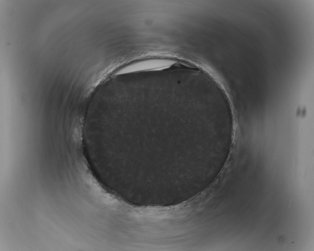 X0000112000009200908171430