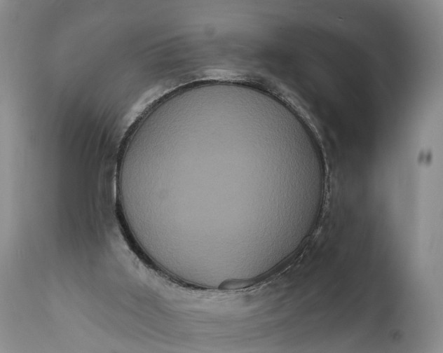 X0000112000011200908171430