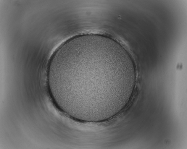 X0000112000012200908171430