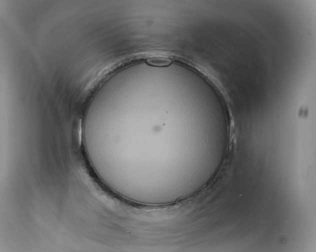 X0000112000013200908171430