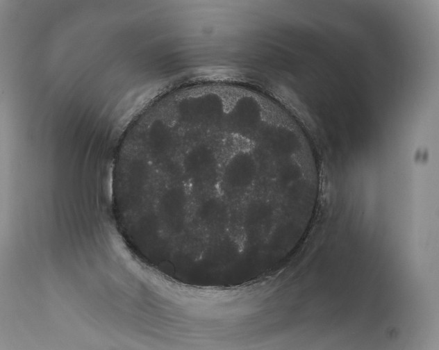 X0000112000014200908171430