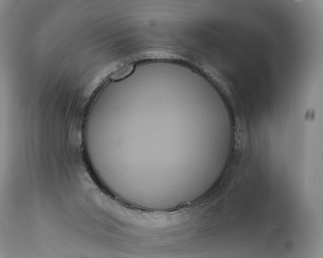 X0000112000015200908171430