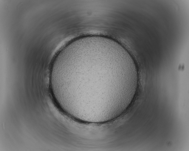 X0000112000016200908171430