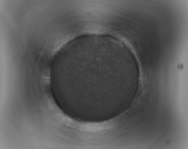 X0000112000017200908171430