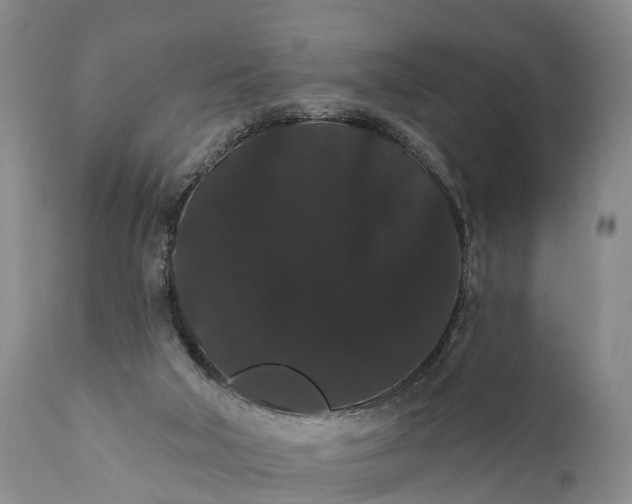 X0000112000018200908171430