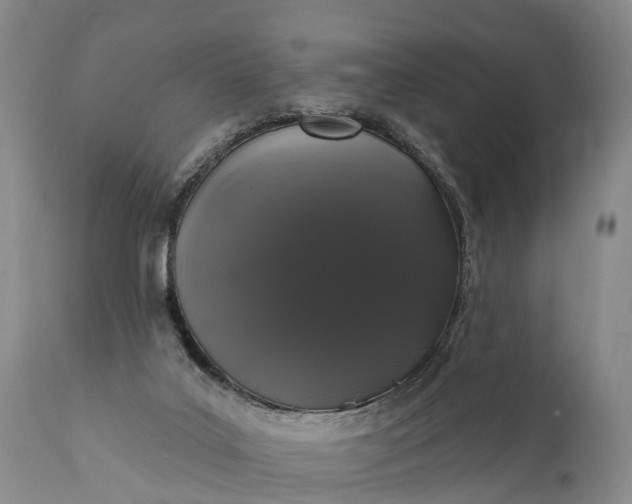 X0000112000019200908171430