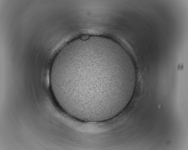 X0000112000020200908171430