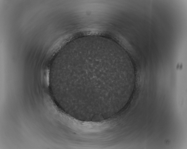 X0000112000022200908171430