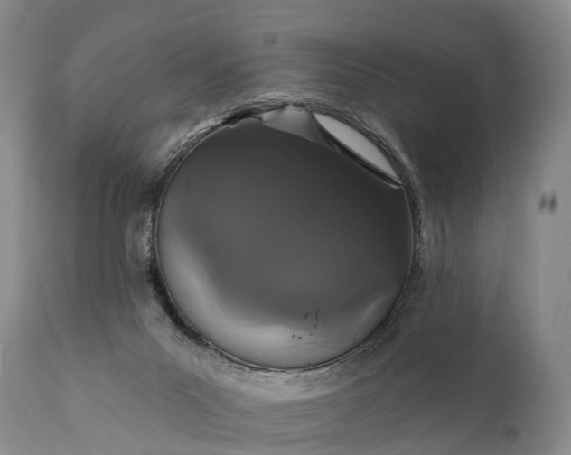 X0000112000023200908171430