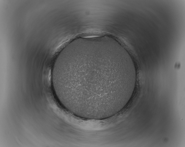 X0000112000024200908171430