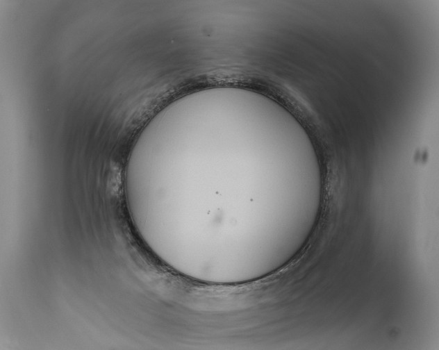 X0000112000025200908171430