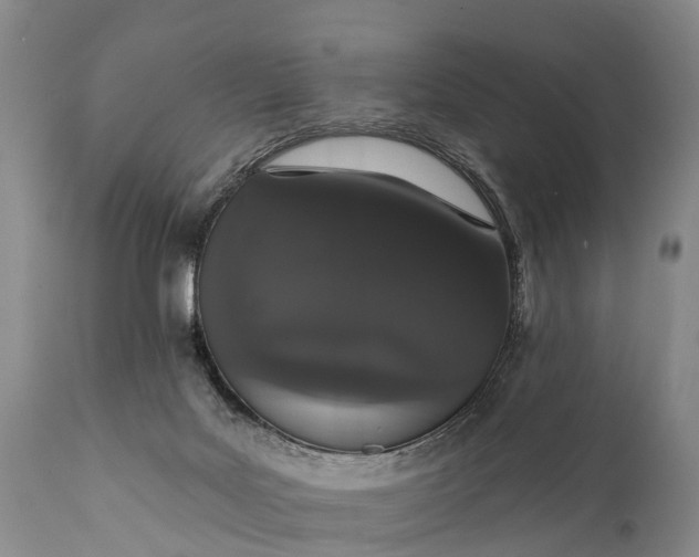 X0000112000027200908171430