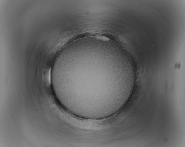 X0000112000028200908171430