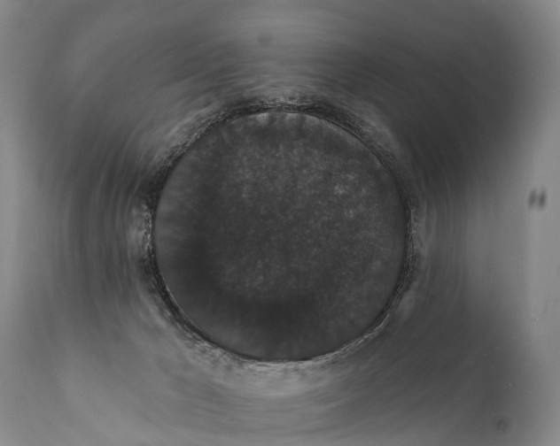 X0000112000029200908171430