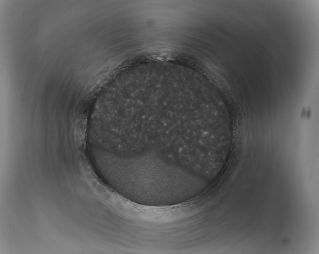 X0000112000030200908171430