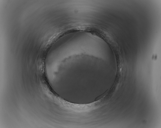 X0000112000031200908171430