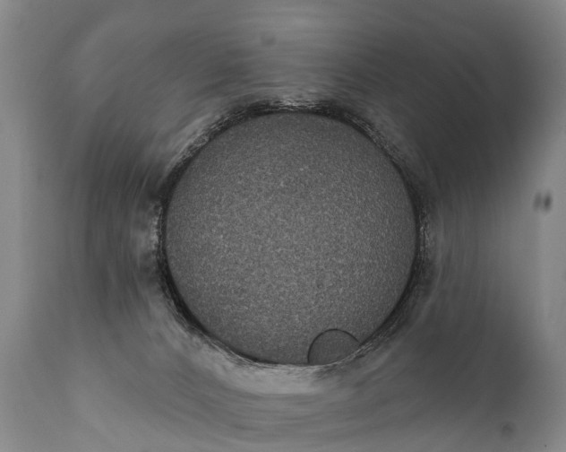 X0000112000032200908171430