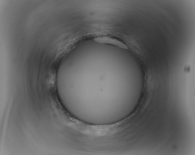 X0000112000033200908171430