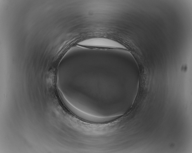 X0000112000035200908171430