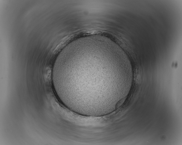 X0000112000036200908171430