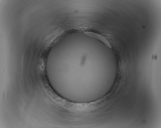 X0000112000037200908171430