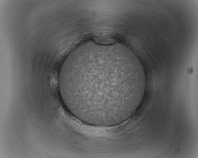 X0000112000040200908171430