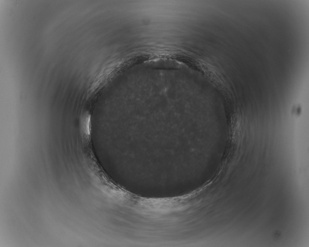 X0000112000041200908171430