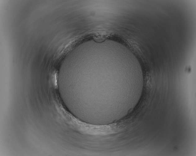 X0000112000042200908171430