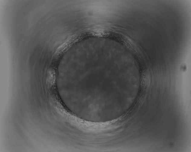 X0000112000043200908171430